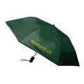 Economy Auto Open Folding Umbrella